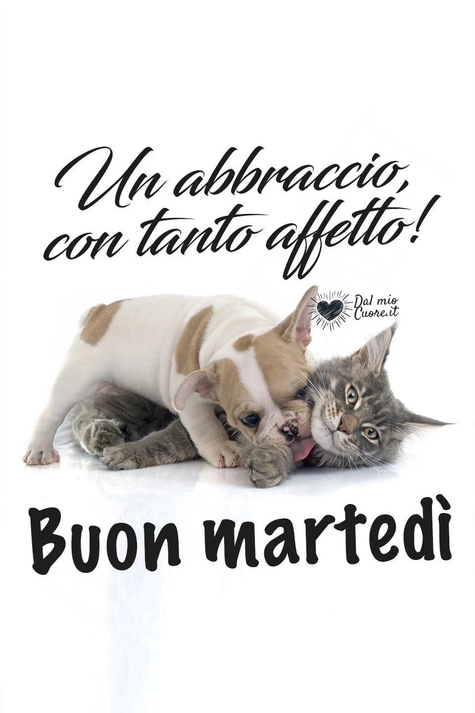 Un abbraccio, con tanto affetto! Buon Martedì Un abbraccio, con tanto affetto! Buon Martedì