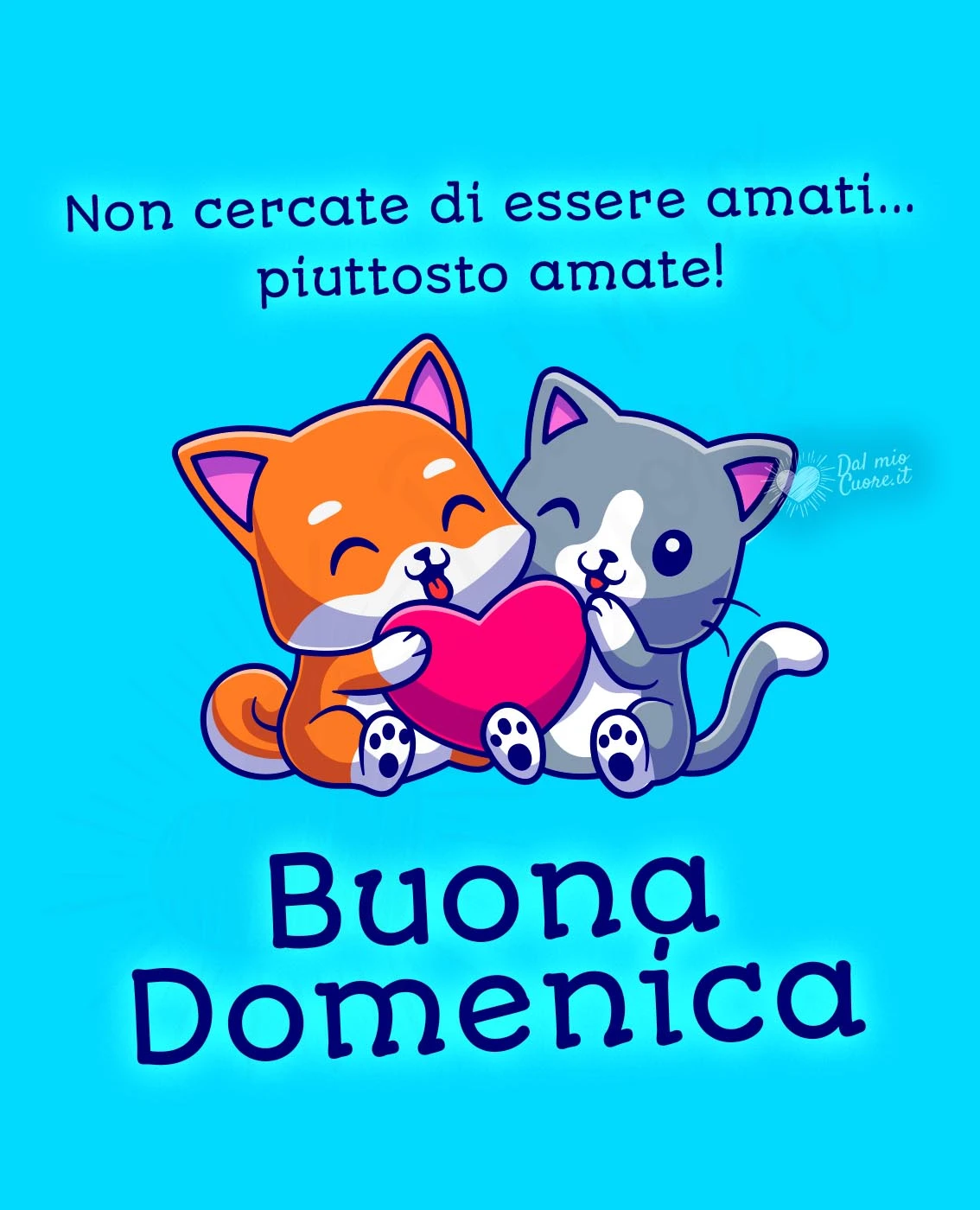 Buona domenica con frase sull'amore