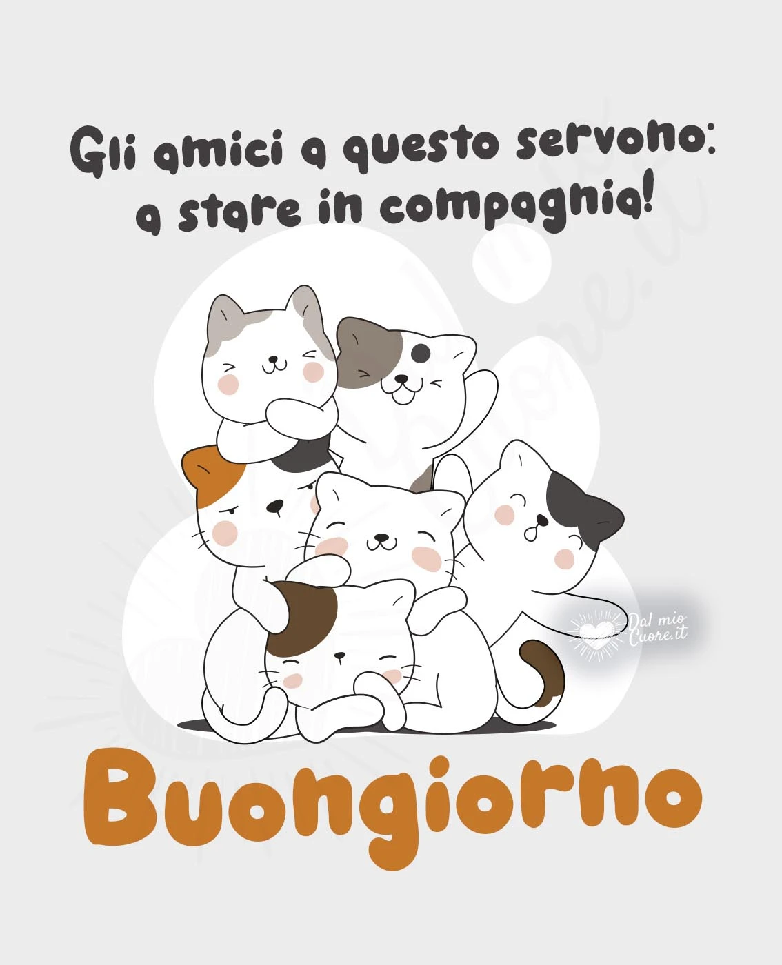 Gli amici a questo servono: a stare in compagnia! Buongiorno