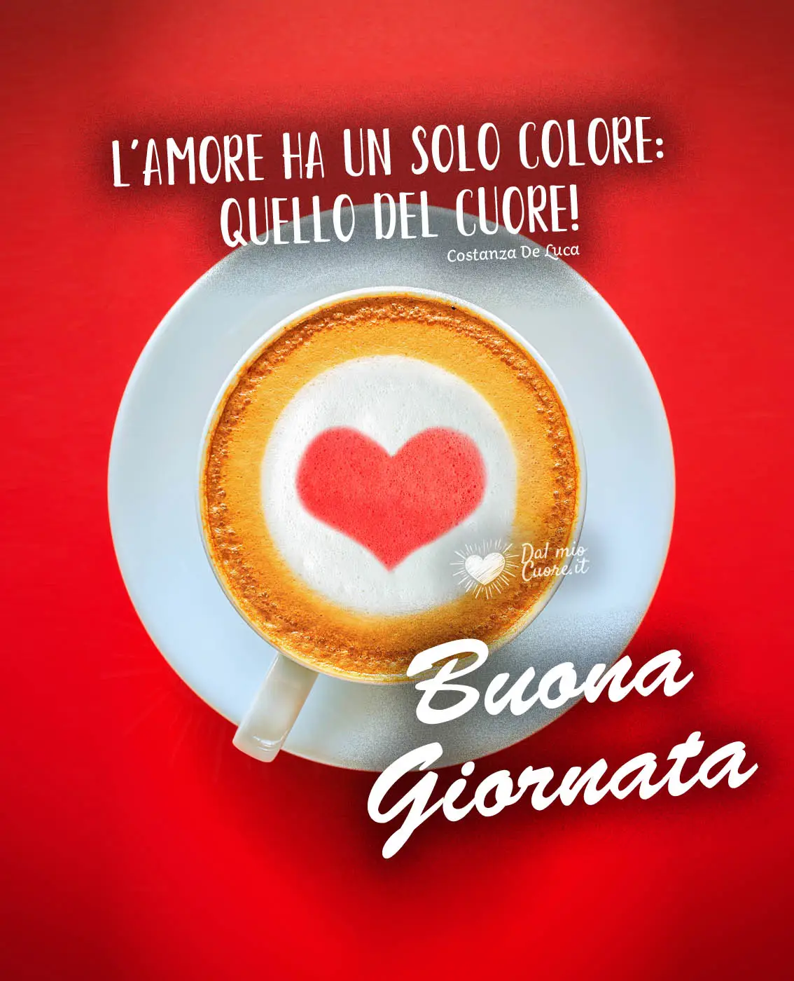 L'AMORE ha un solo colore: quello del CUORE! Buona giornata L'AMORE ha un solo colore: quello del CUORE! Buona giornata
