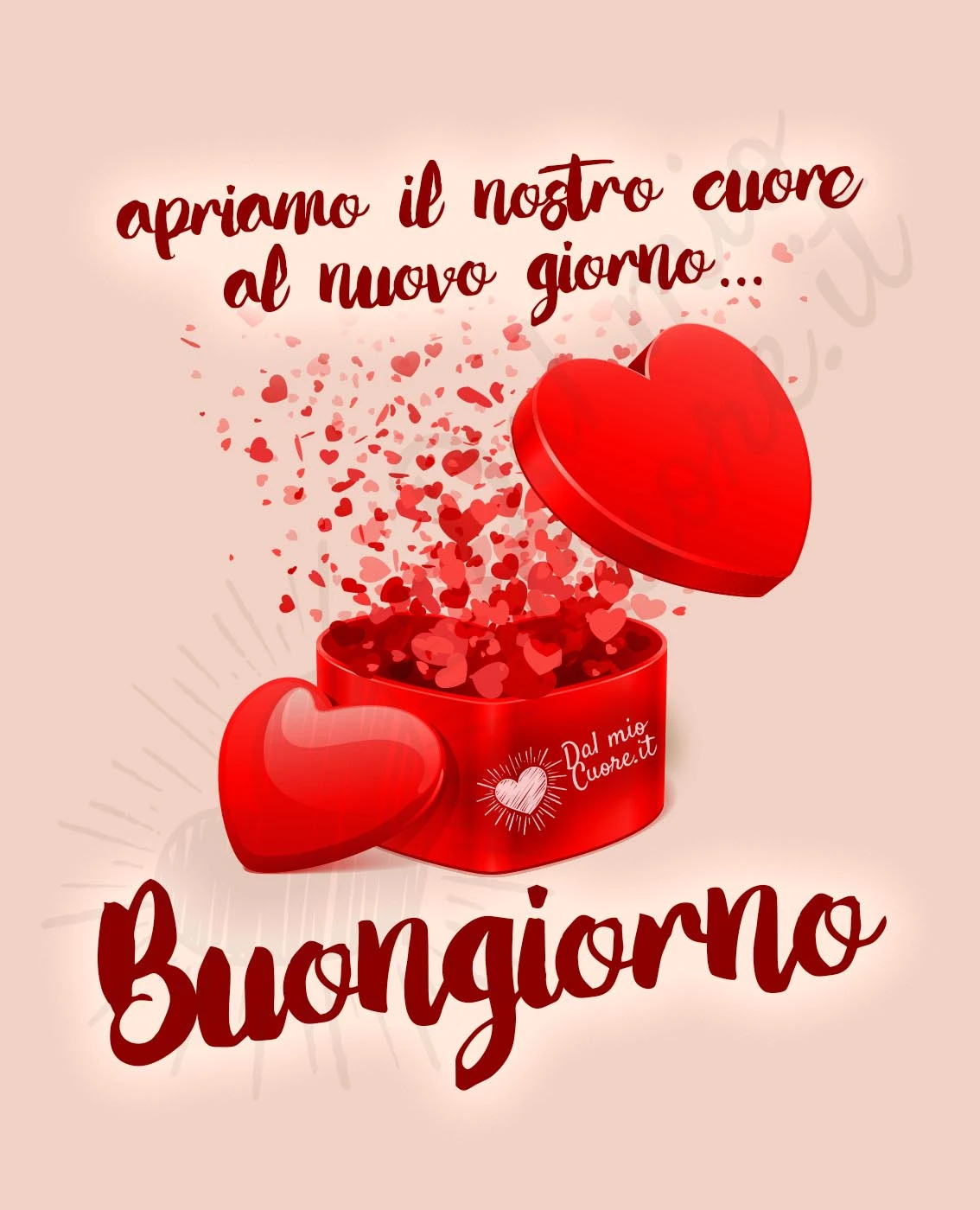 Apriamo il nostro cuore al nuovo giorno... Buongiorno