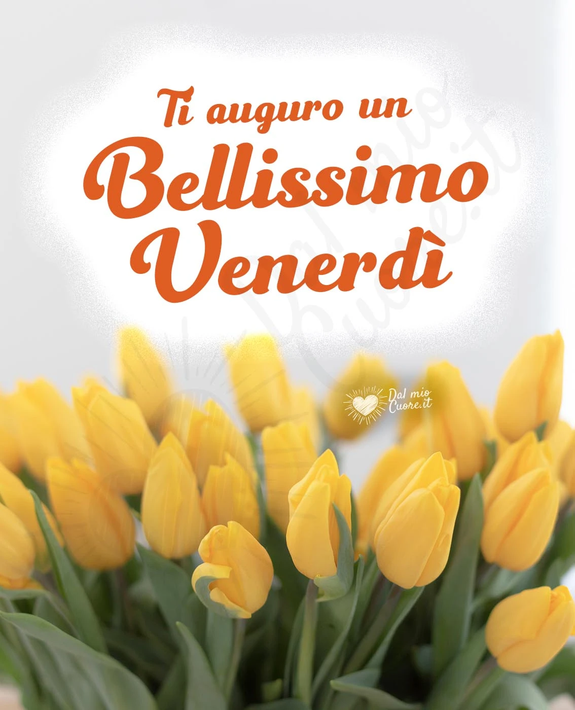 Ti auguro un bellissimo venerdì (con fiori)