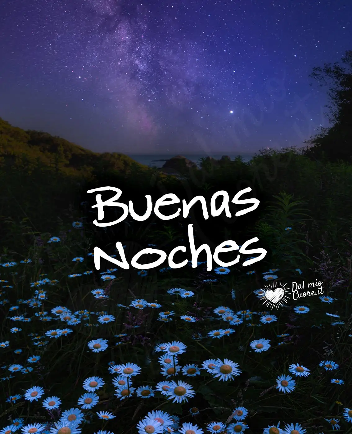 Buenas noches (Margaritas y cielo estrellado) Buenas noches (Margaritas y cielo estrellado)