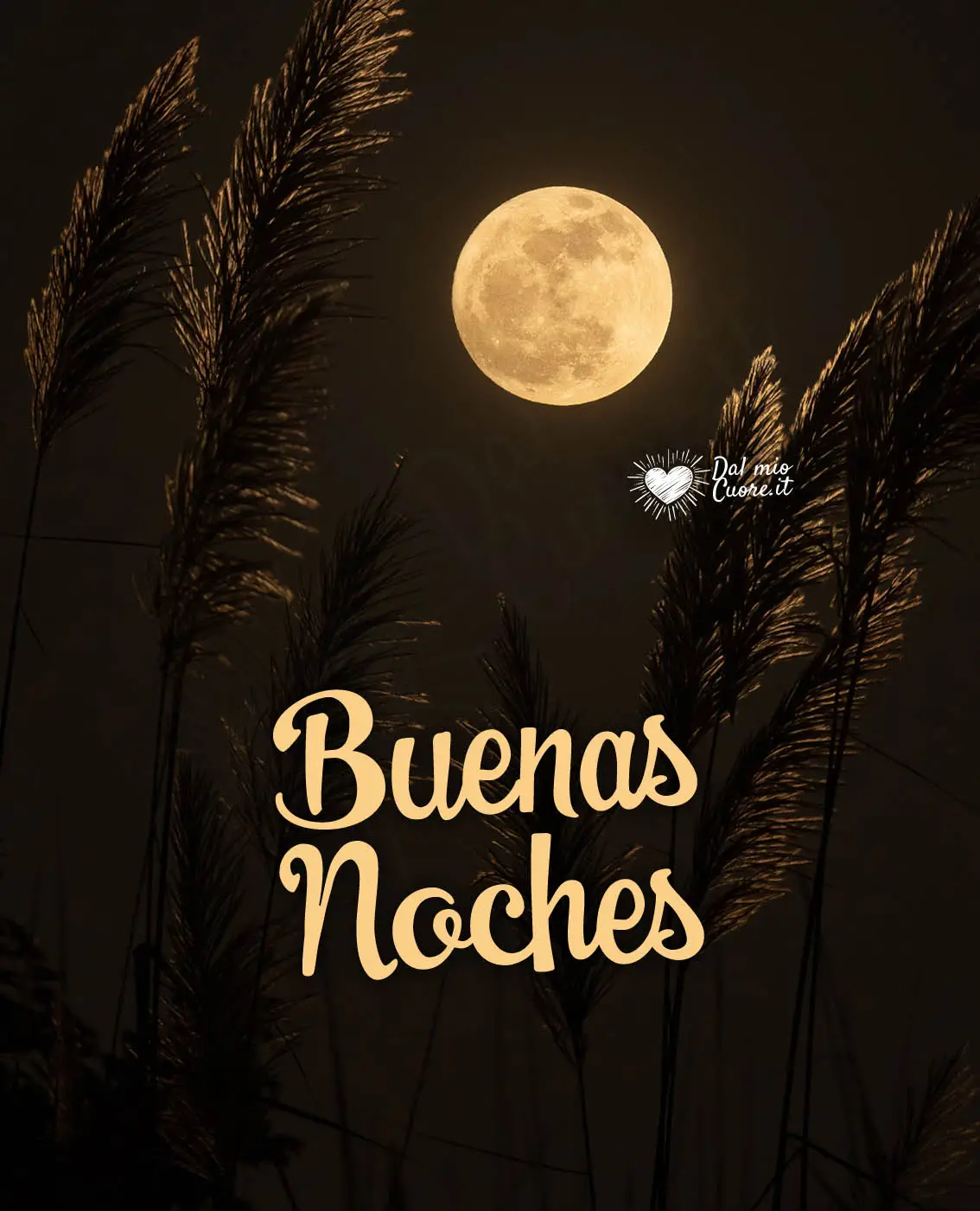 Buenas noches Buenas noches