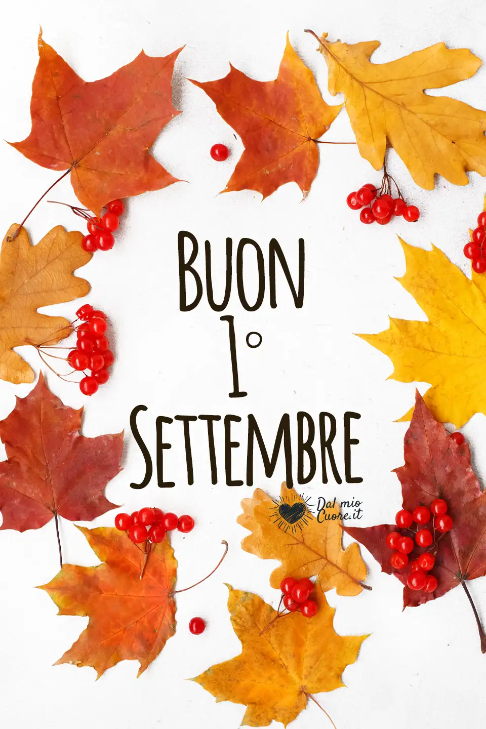 Buon 1° Settembre