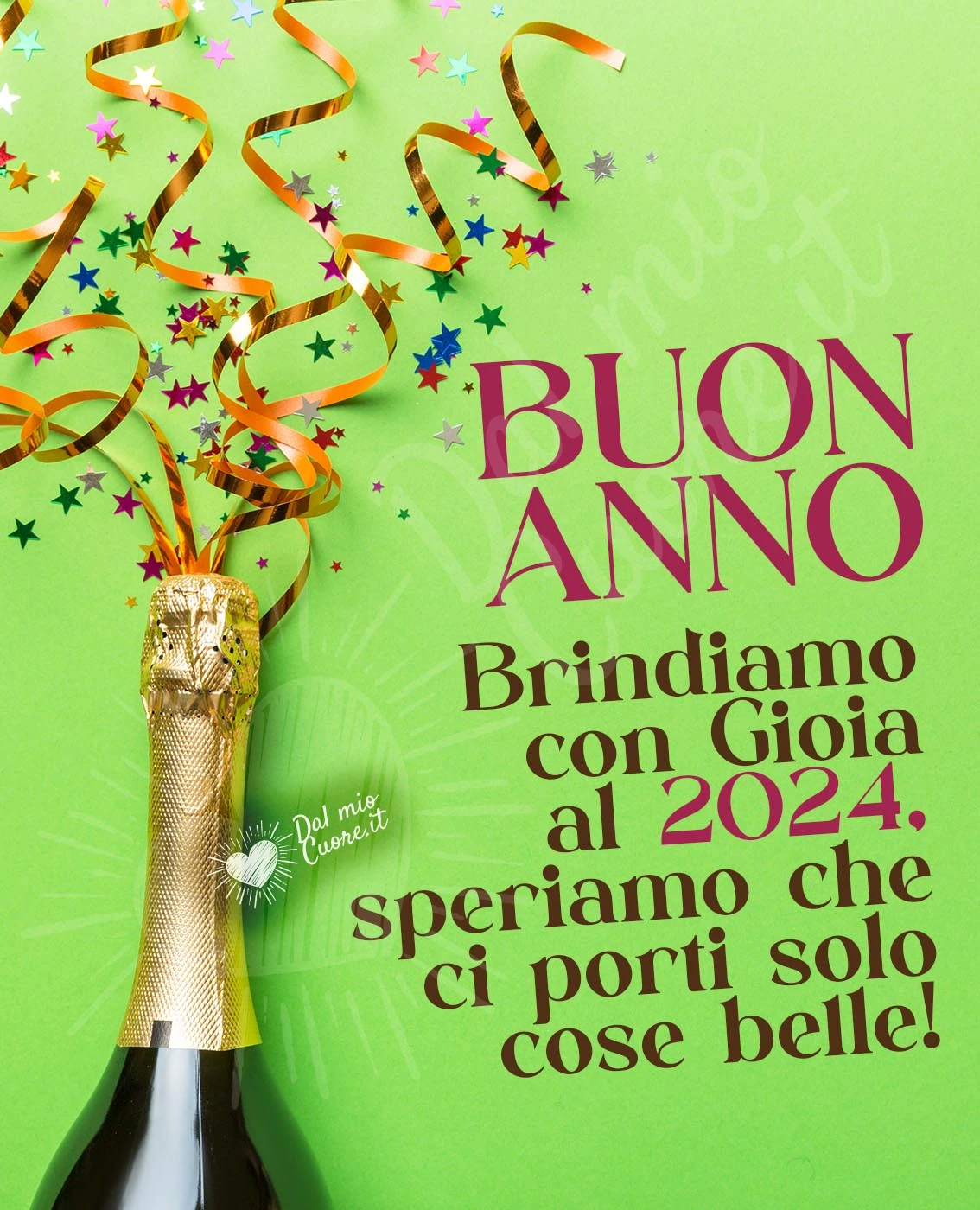 Buon anno. Brindiamo con gioia al 2024, speriamo che ci porti solo cose belle!