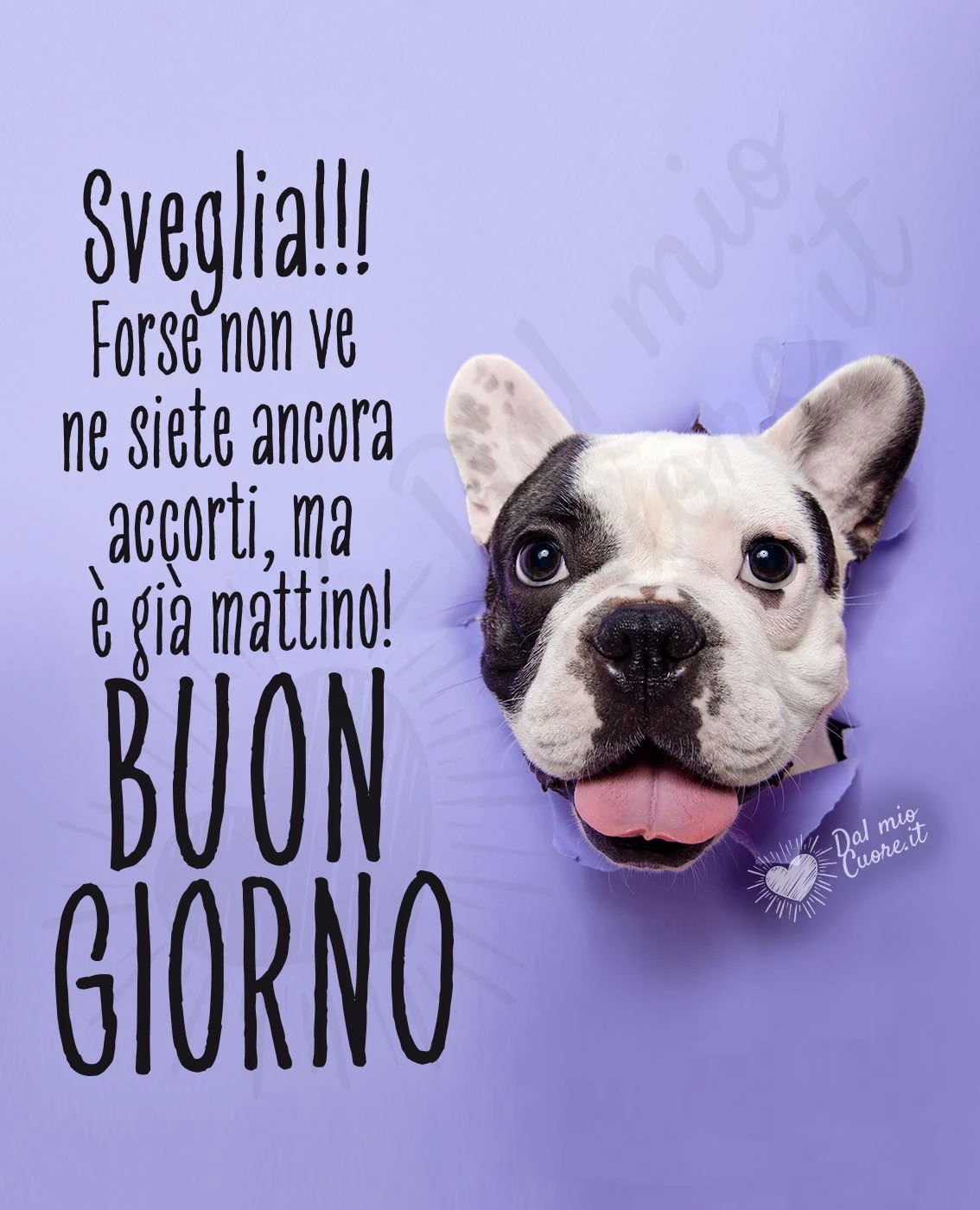 Sveglia!! Forse non ve ne siete ancora accorti, ma è già mattino! Buon giorno Sveglia!! Forse non ve ne siete ancora accorti, ma è già mattino! Buon giorno