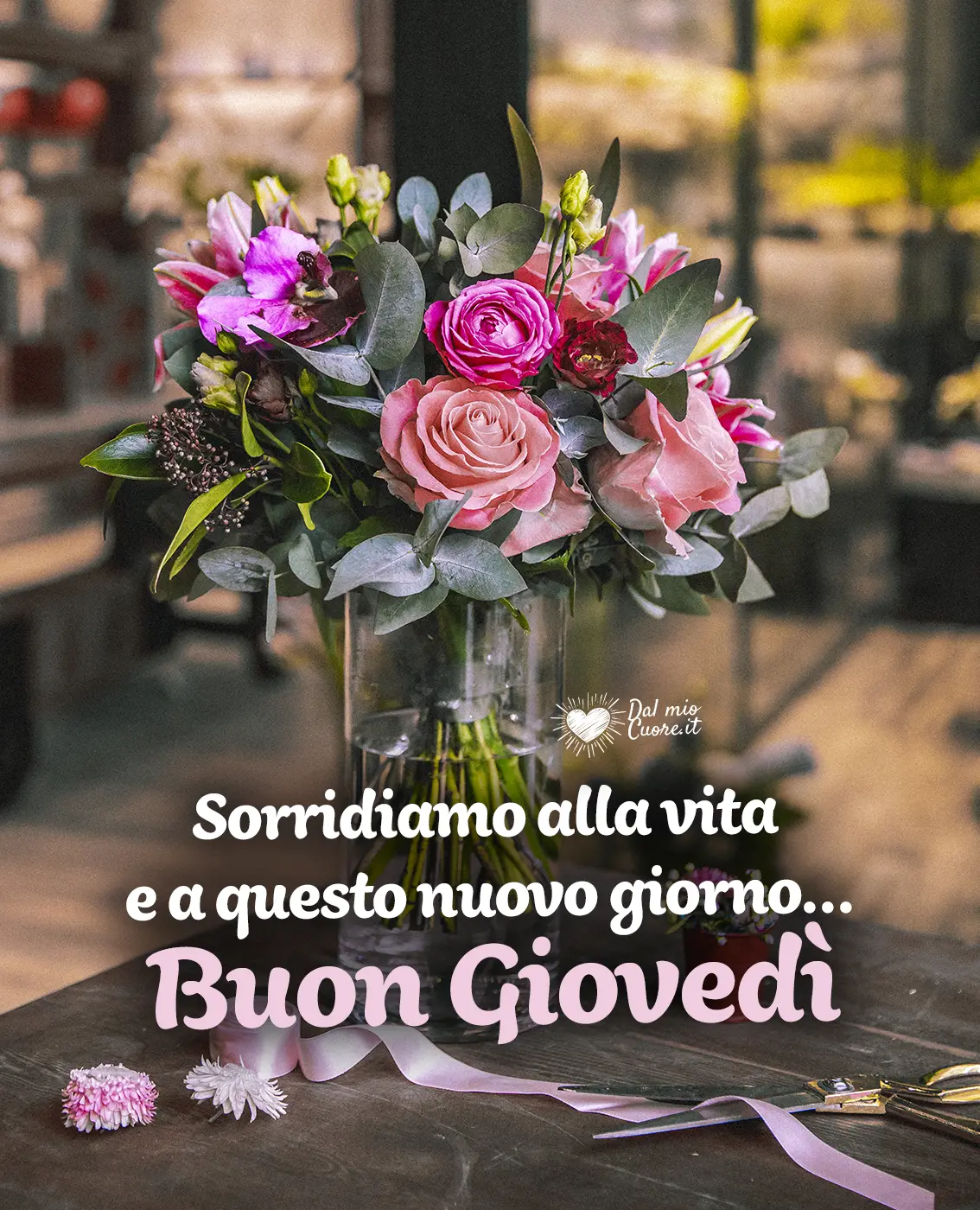 Sorridiamo alla vita e a questo nuovo giorno... Buon Giovedì Sorridiamo alla vita e a questo nuovo giorno... Buon Giovedì