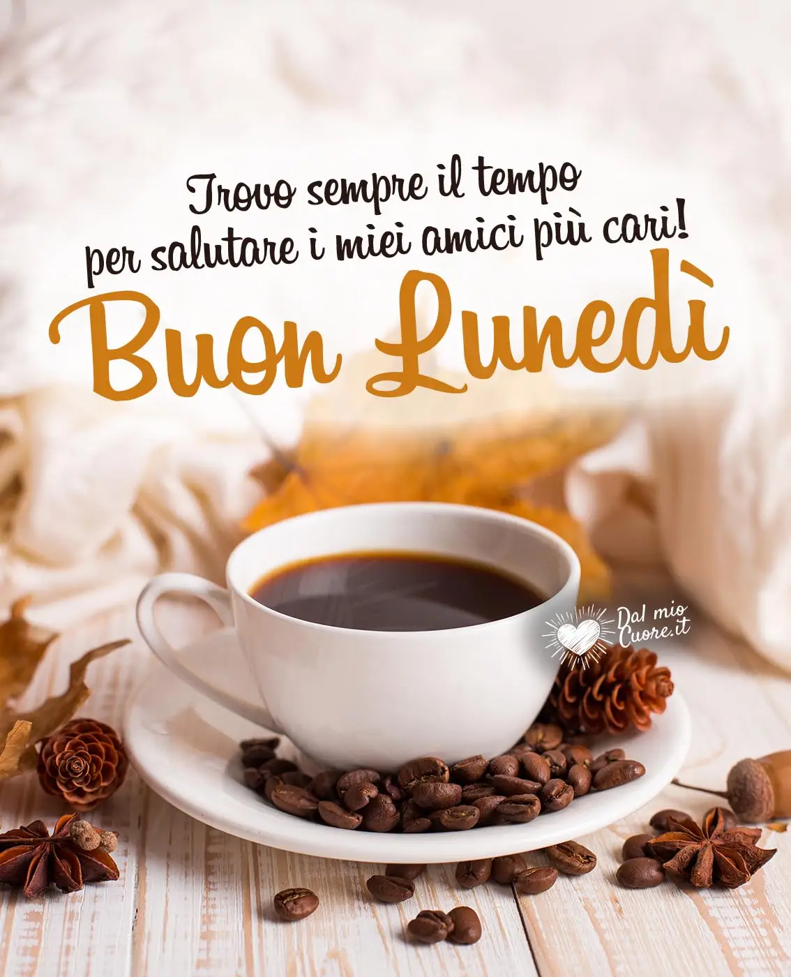Trovo sempre il tempo per salutare i miei amici più cari! Buon lunedì (autunnale)