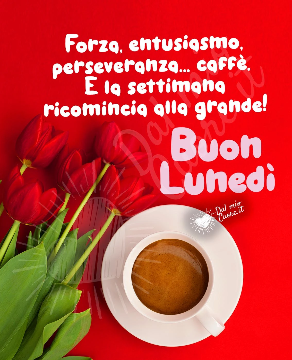 Forza, entusiasmo, perseveranza... caffè. E la settimana ricomincia alla grande! Buon lunedì