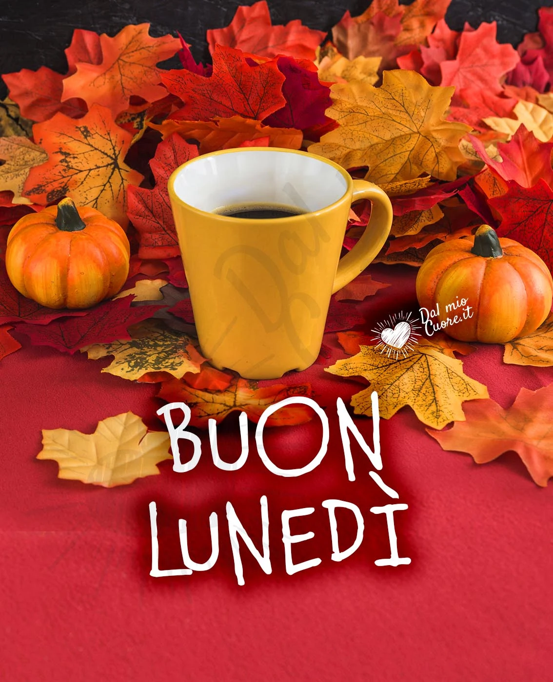 Buon lunedì con caffè e zucche