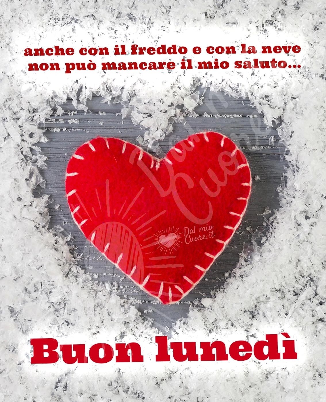 Anche con il freddo e con la neve non può mancare il mio saluto... buon lunedì