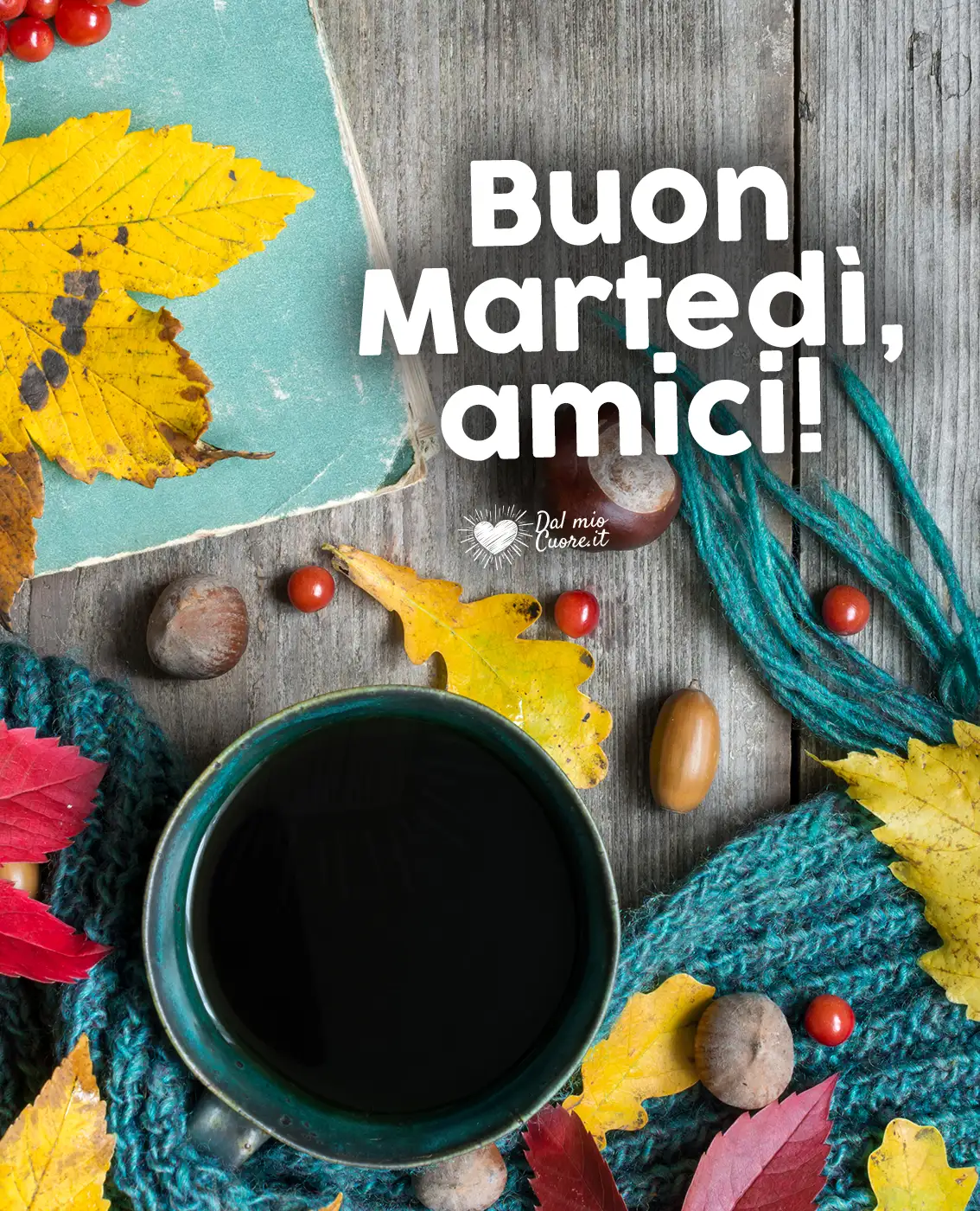 Buon martedì, amici! Buon martedì, amici!