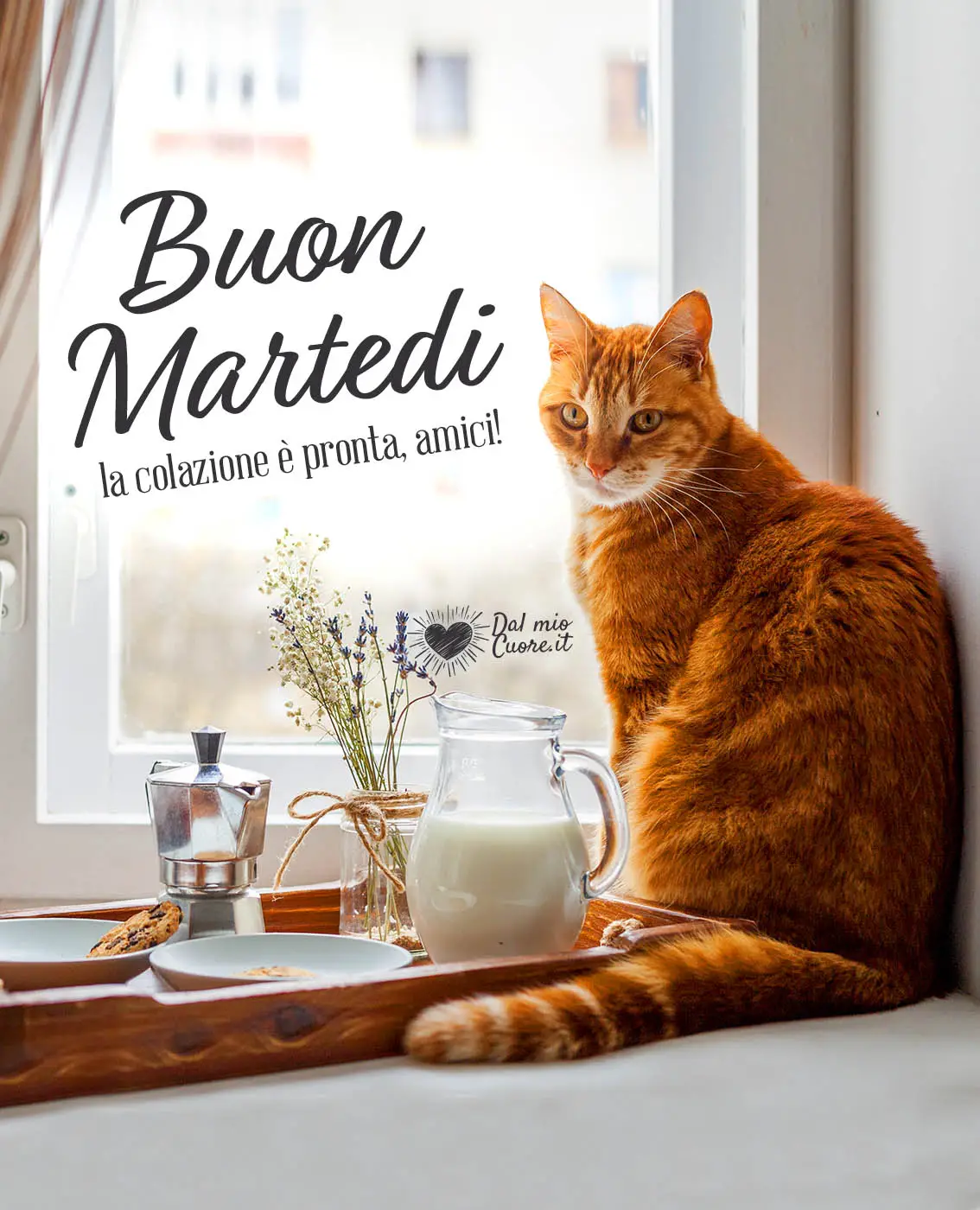 La colazione è pronta, amici! Buon martedi La colazione è pronta, amici! Buon martedi