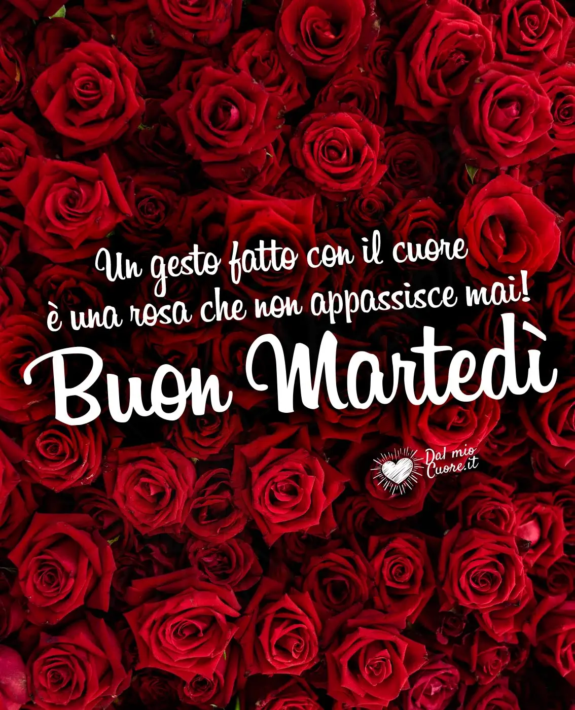 Un gesto fatto con il cuore è una rosa che non appassisce mai! Buon Martedì Un gesto fatto con il cuore è una rosa che non appassisce mai! Buon Martedì