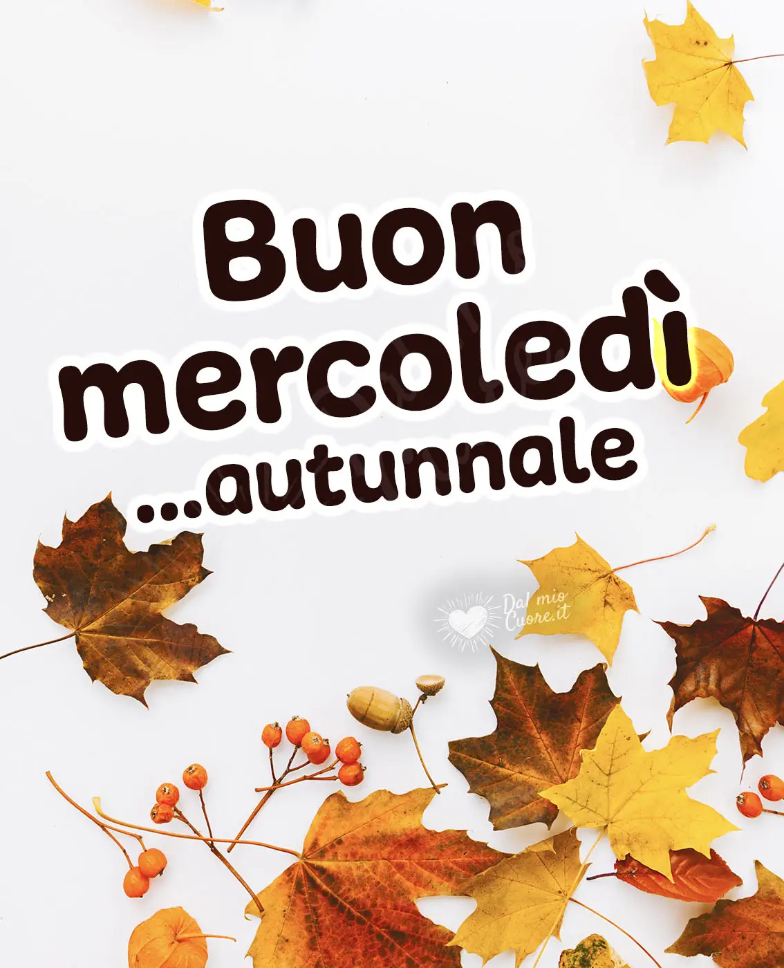 Buona mercoledì... autunnale Buona mercoledì... autunnale