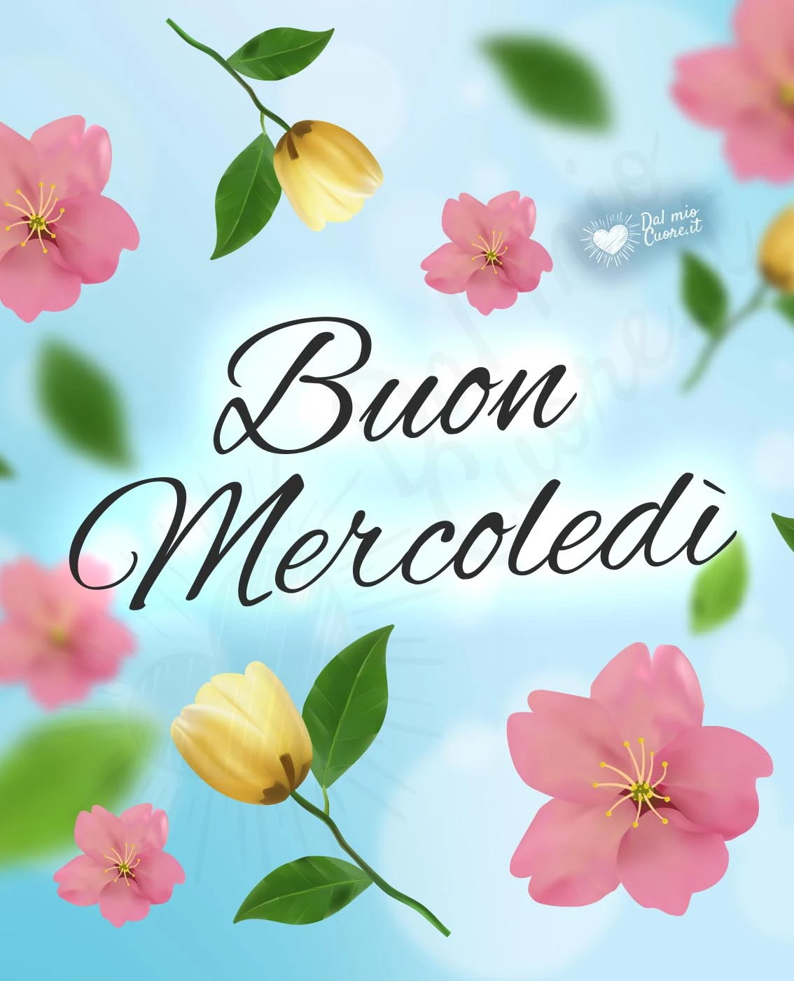 Buon mercoledì floreale e primaverile