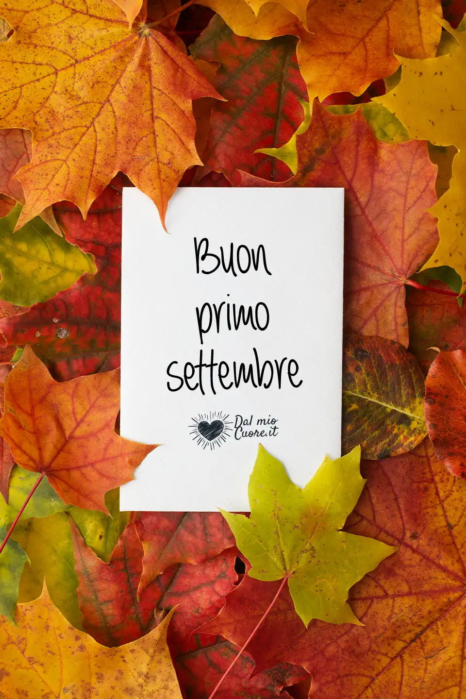 Buon primo settembre