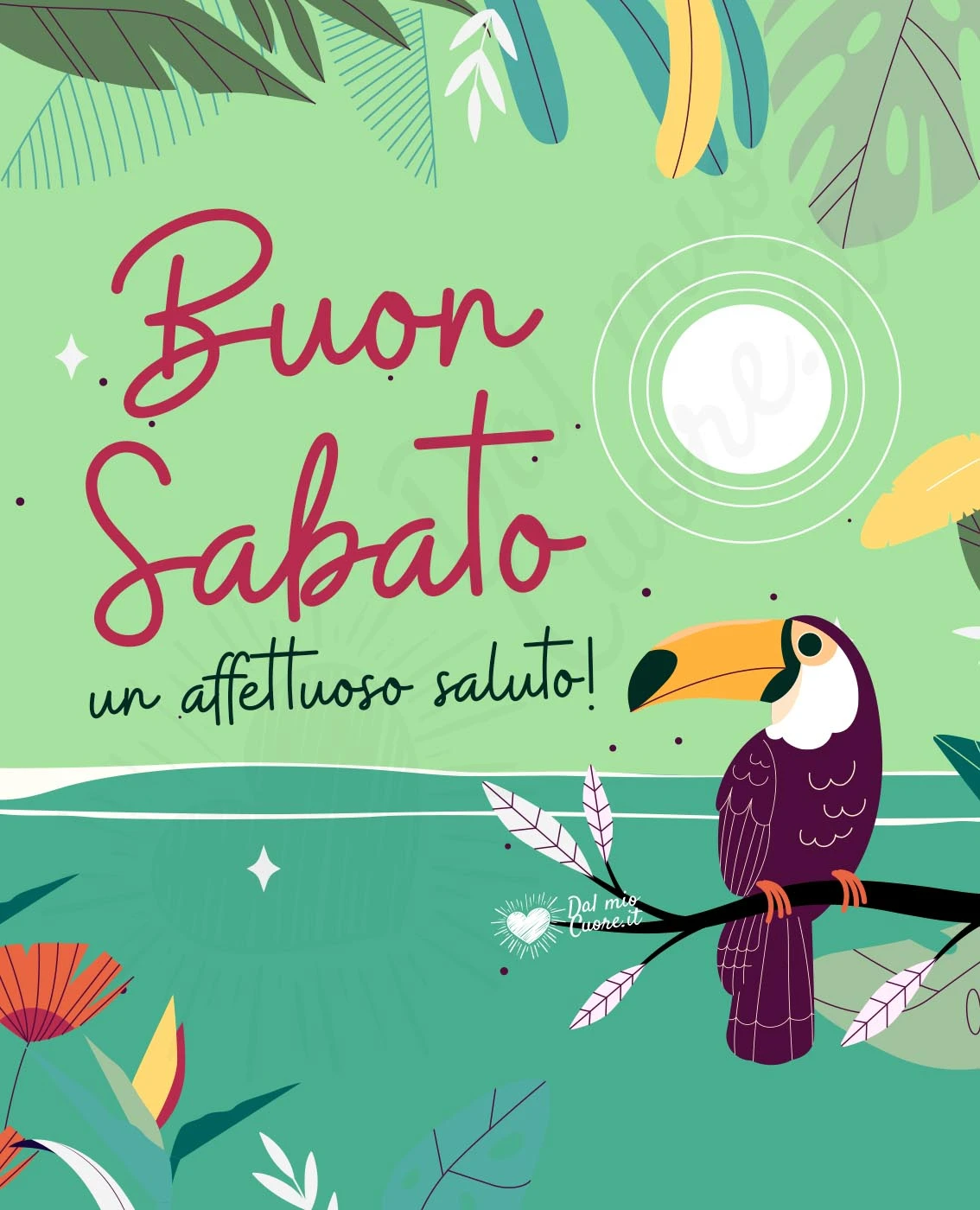 Buon sabato estivo. Un affettuoso saluto! Buon sabato estivo. Un affettuoso saluto!