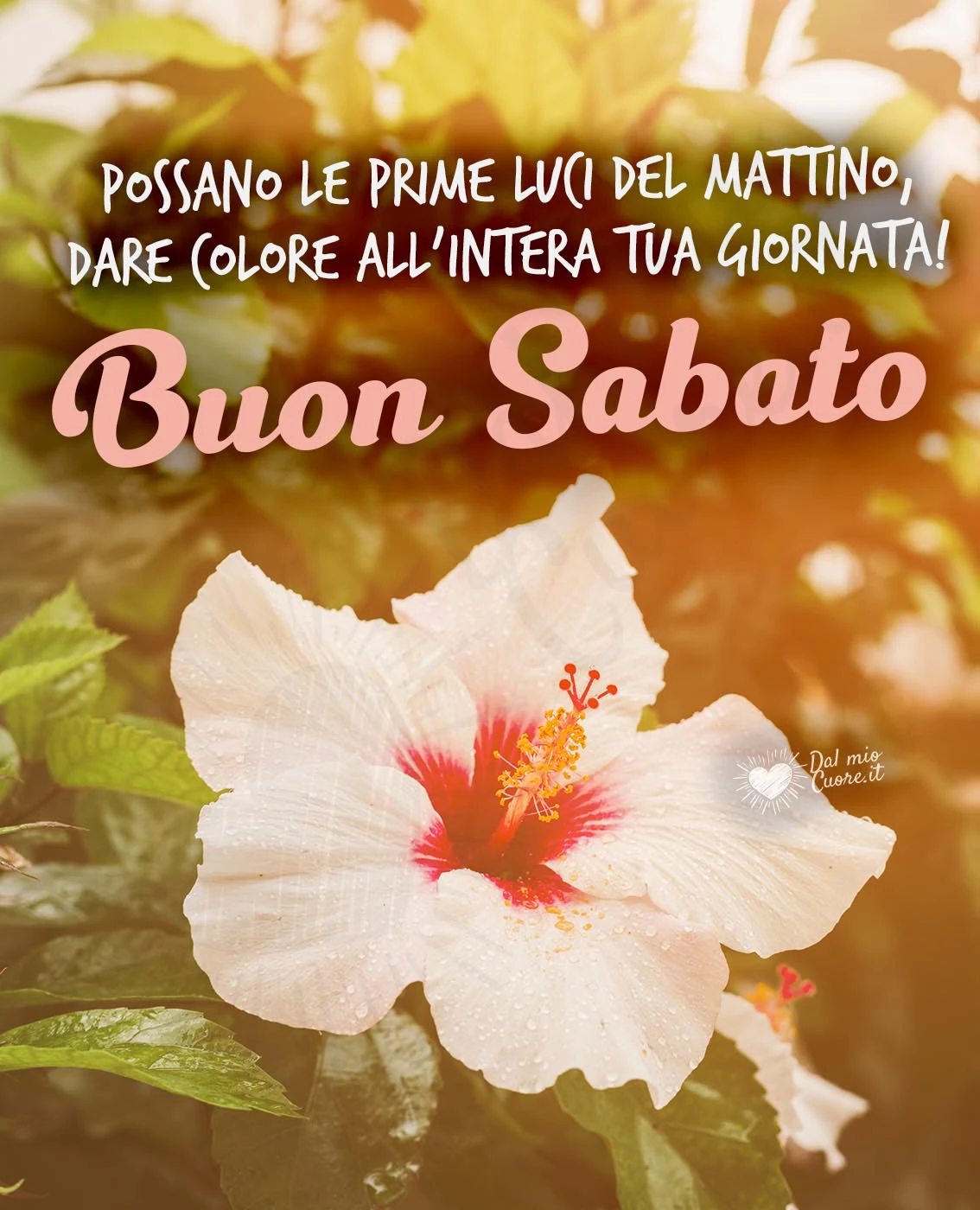 Buon sabato con frase sulle prime luci del mattino