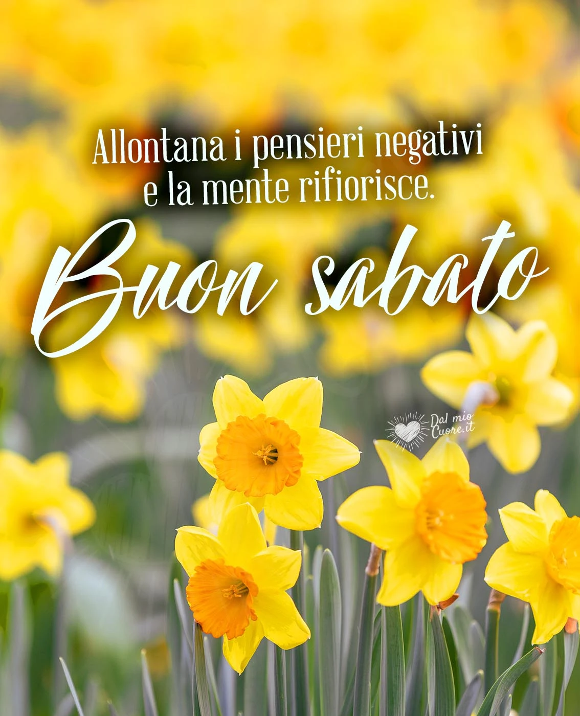 Buon sabato con fiori e frase sui pensieri negativi