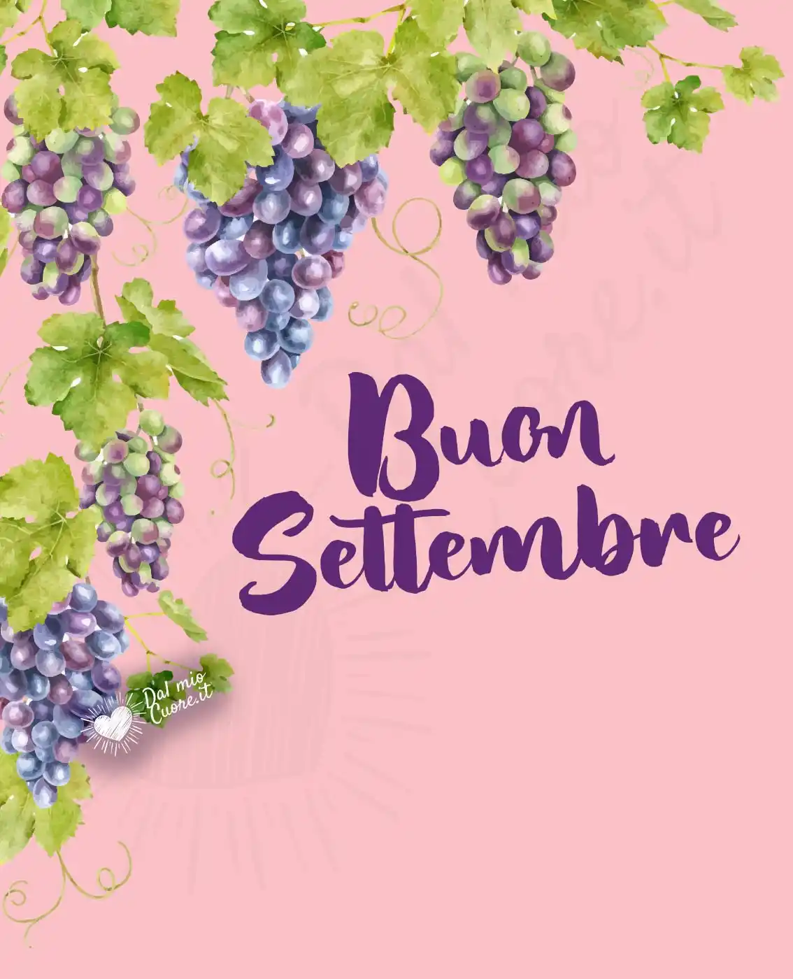 Buon Settembre tra grappoli d’uva