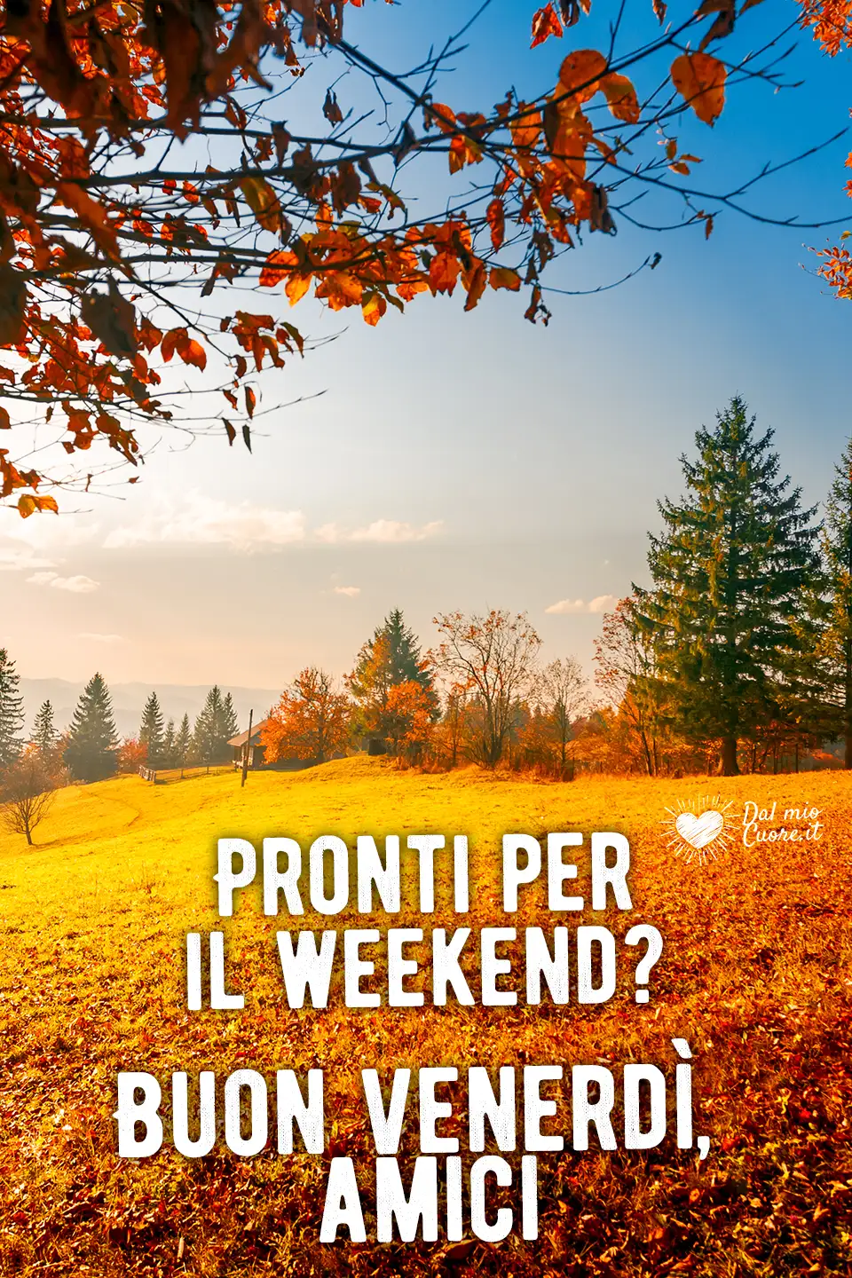 Pronti per il weekend? Buon venerdì, amici Pronti per il weekend? Buon venerdì, amici
