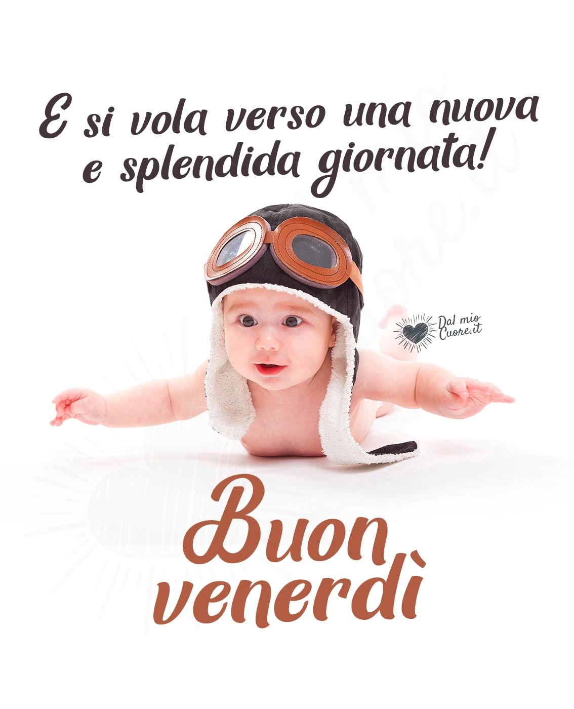 Buon venerdì divertente. E si vola verso una nuova e splendida giornata!