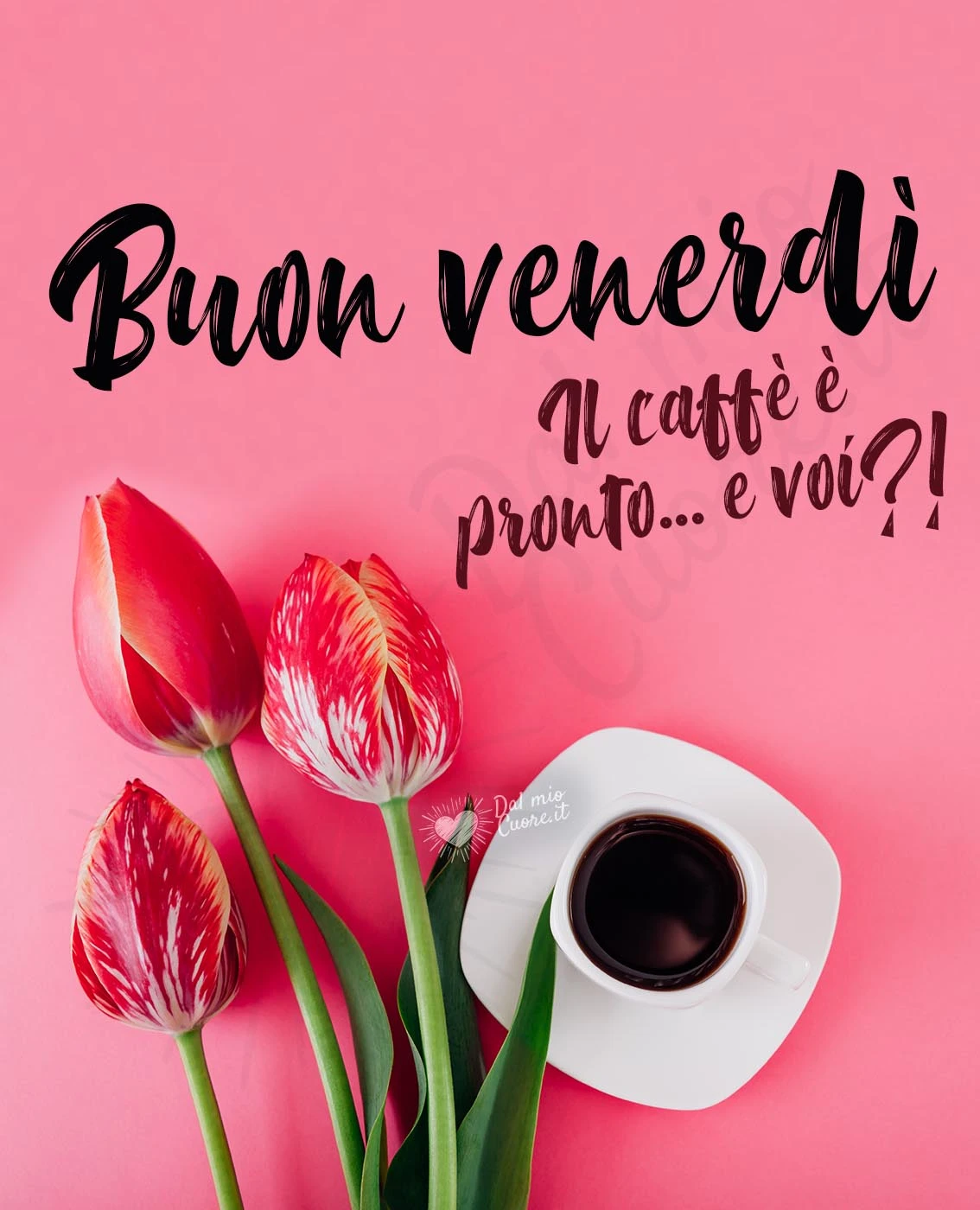 Buon venerdì. Il caffè è pronto e voi?! Buon venerdì. Il caffè è pronto e voi?!