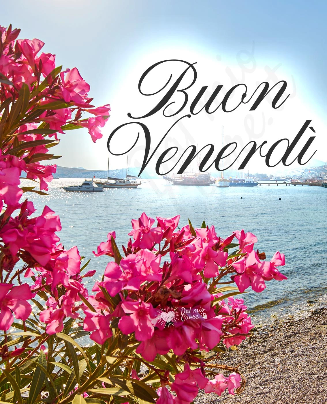 Buon venerdi con fiori di oleandro sul mare