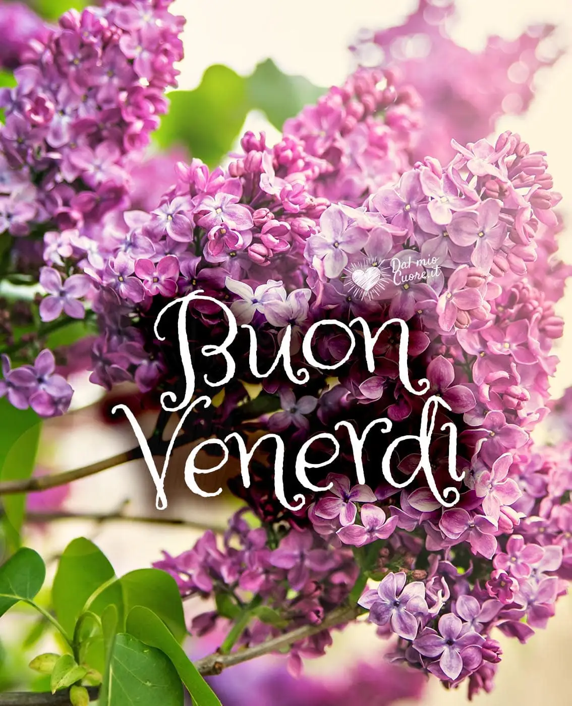 Buon venerdì primaverile Buon venerdì primaverile