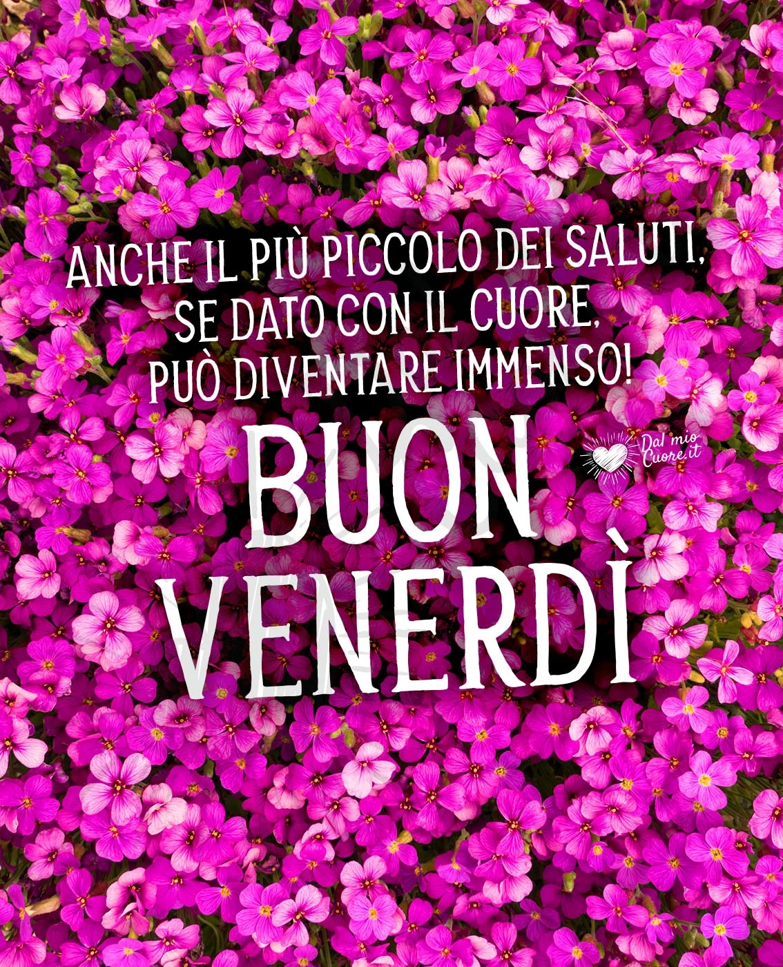 Buon venerdì con frase dedicata all'importanza di salutare gli amici