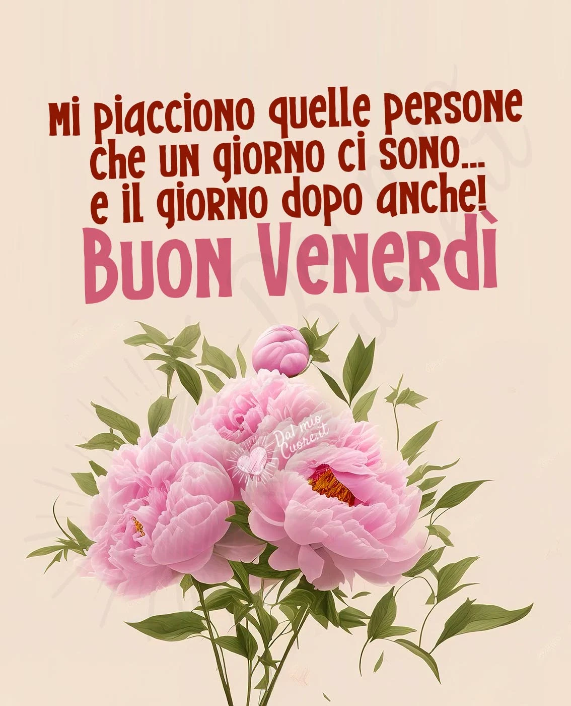 Mi piacciono quelle persone che un giorno ci sono... e il giorno dopo anche! Buon Venerdì Mi piacciono quelle persone che un giorno ci sono... e il giorno dopo anche! Buon Venerdì