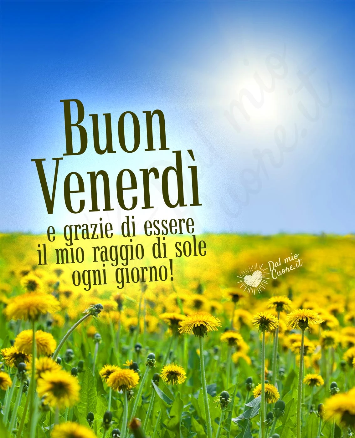 Buon venerdì e grazie di essere il mio raggio di sole ogni giorno! Buon venerdì e grazie di essere il mio raggio di sole ogni giorno!