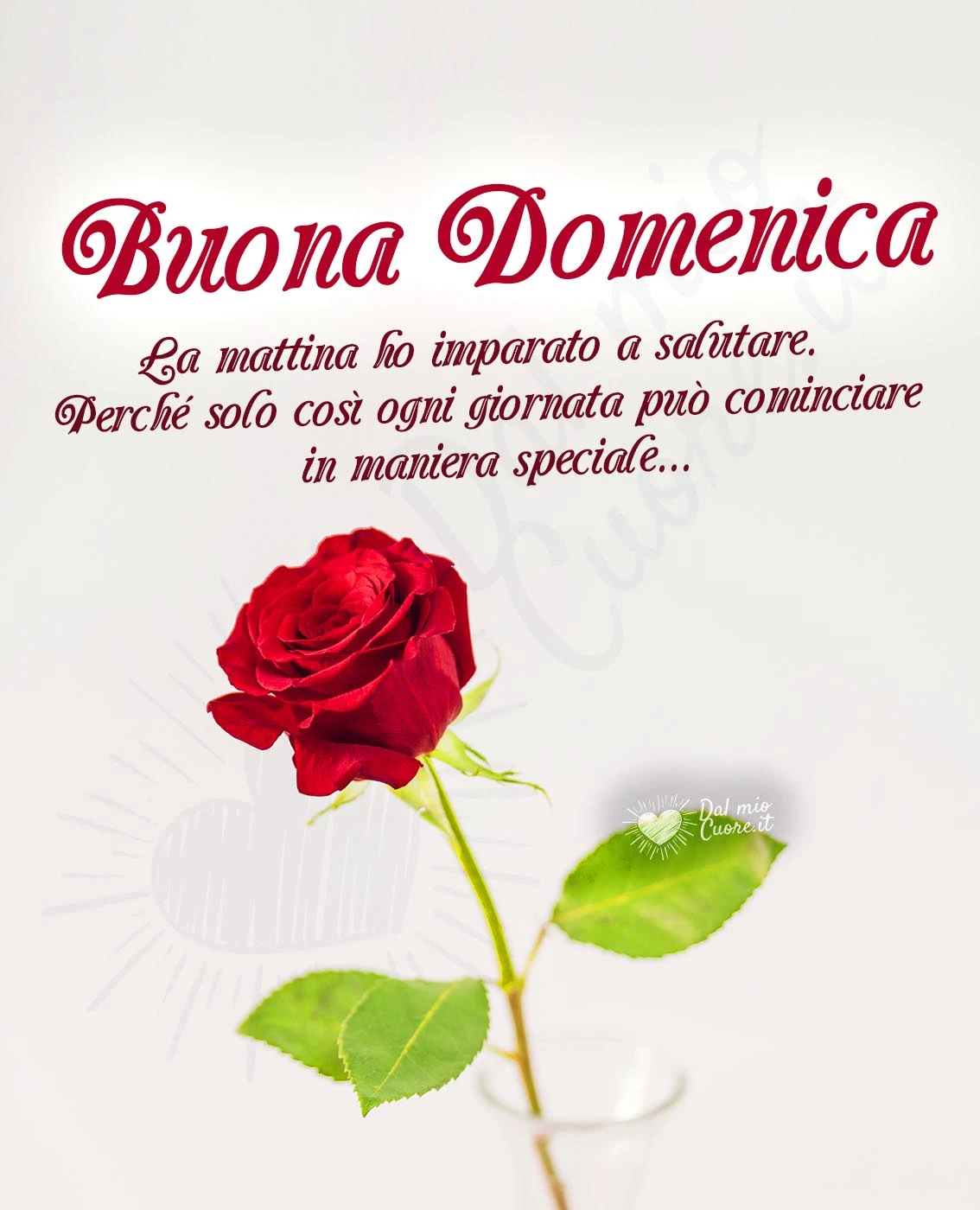 Buona domenica con frase e rosa Buona domenica con frase e rosa