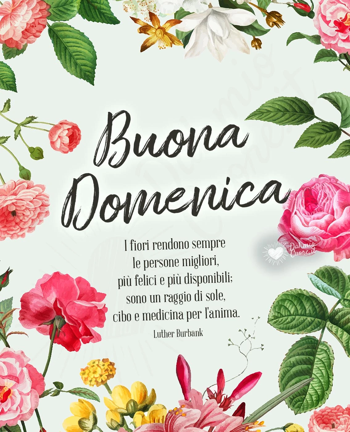 Buona domenica con frase sui fiori