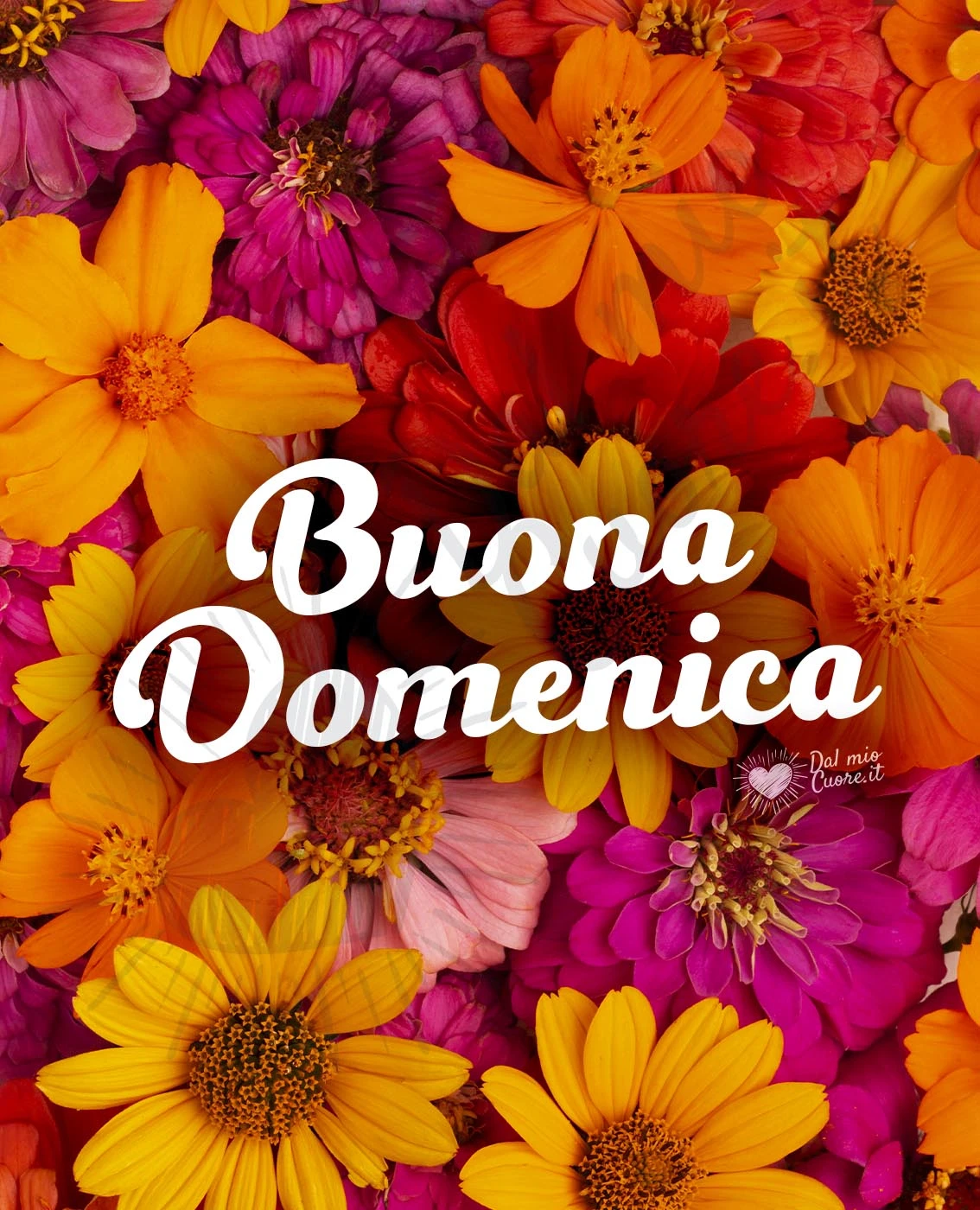 Buona domenica con fiori
