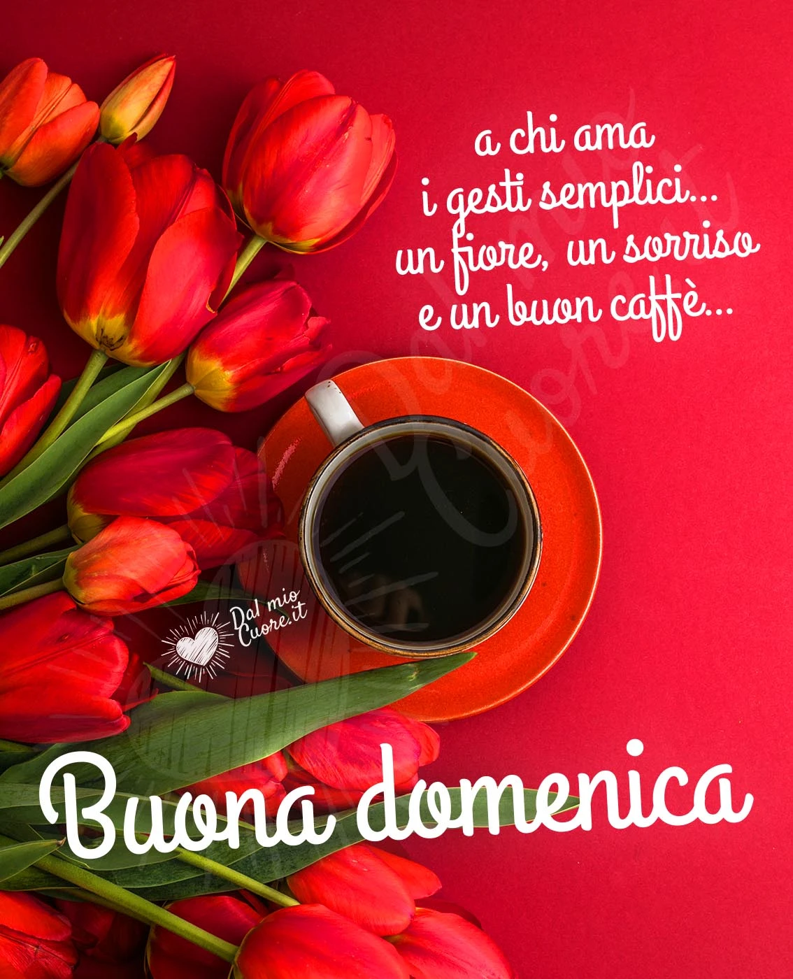 Buona Domenica a chi ama i gesti semplici... un fiore, un sorriso e un buon caffè...