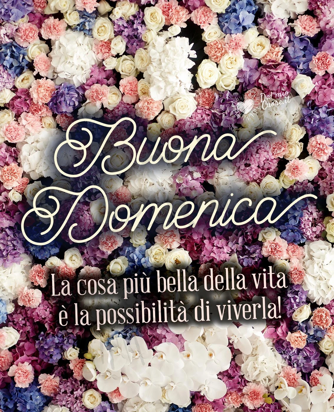 Buona Domenica. La cosa più bella della vita è la possibilità di viverla!