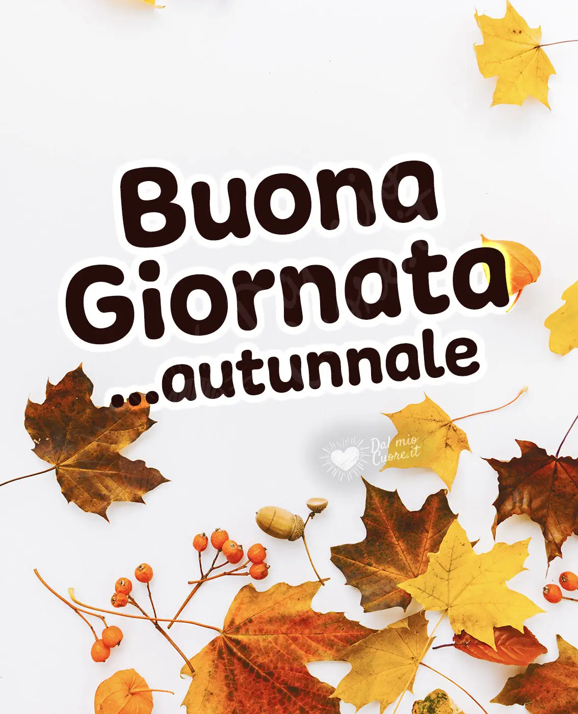 Buona giornata... autunnale Buona giornata... autunnale