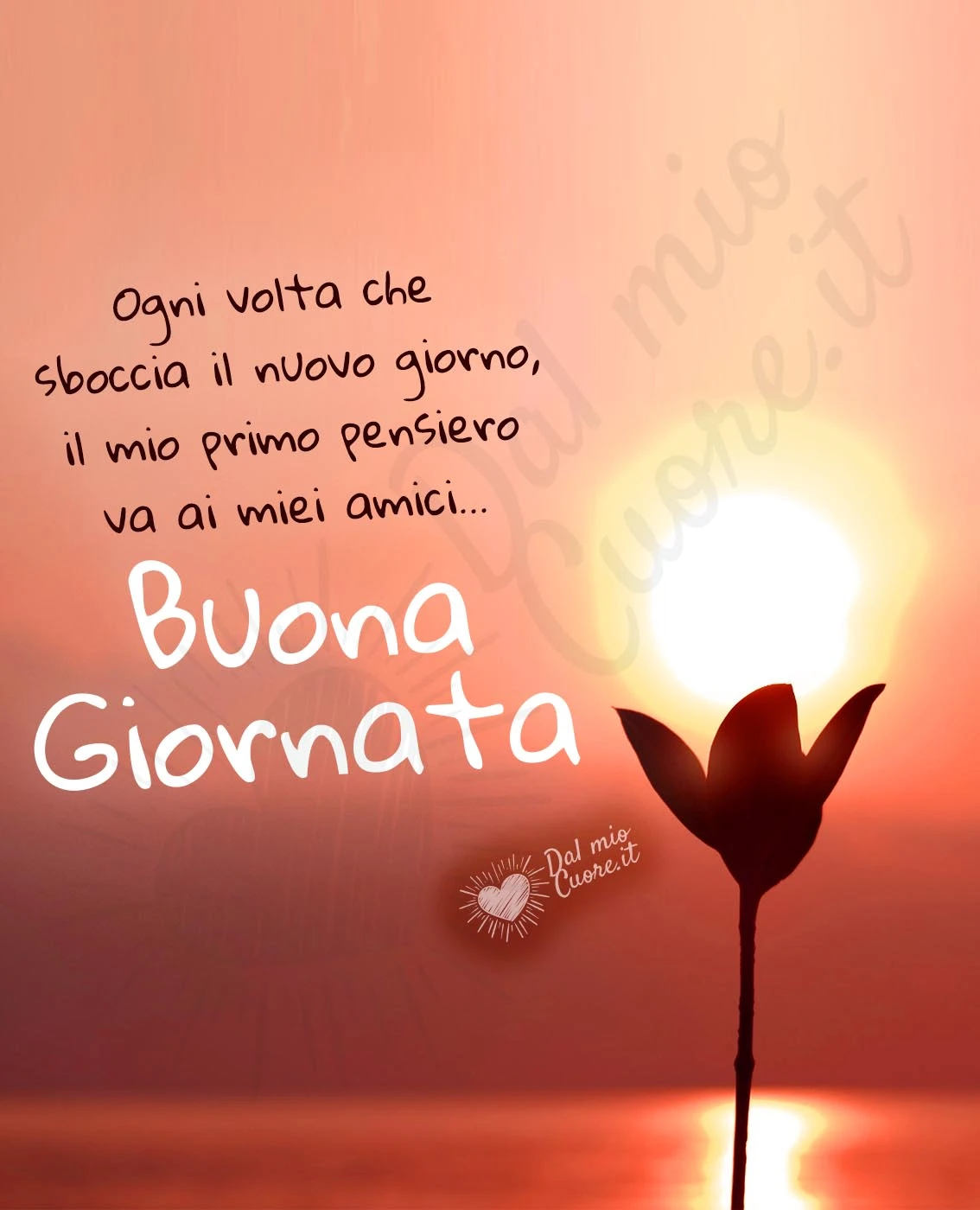 Ogni volta che sboccia il nuovo giorno, il mio primo pensiero va ai miei amici. Buona Giornata