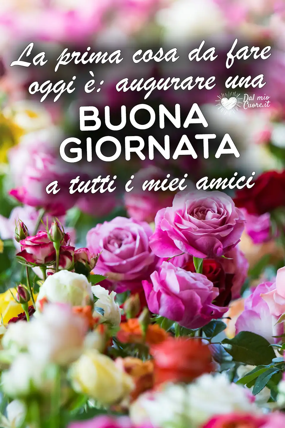 La prima cosa da fare oggi è: augurare una buona giornata a tutti i miei amici La prima cosa da fare oggi è: augurare una buona giornata a tutti i miei amici