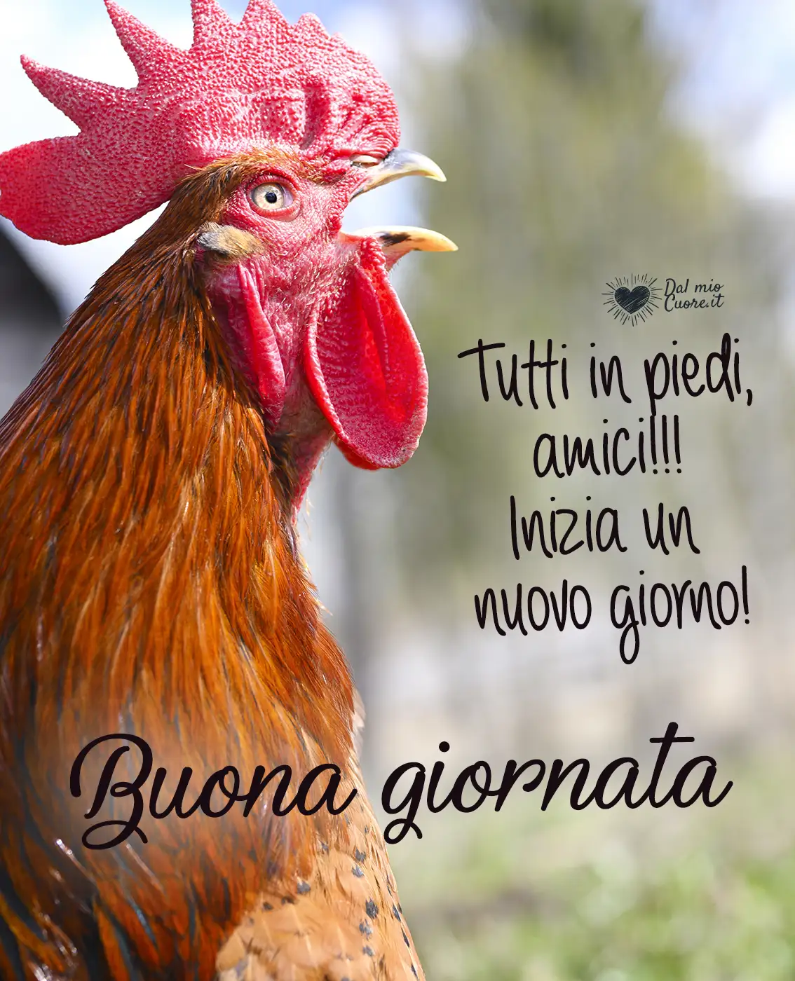 Tutti in piedi, amici! Inizia un nuovo giorno! Buona giornata Tutti in piedi, amici! Inizia un nuovo giorno! Buona giornata