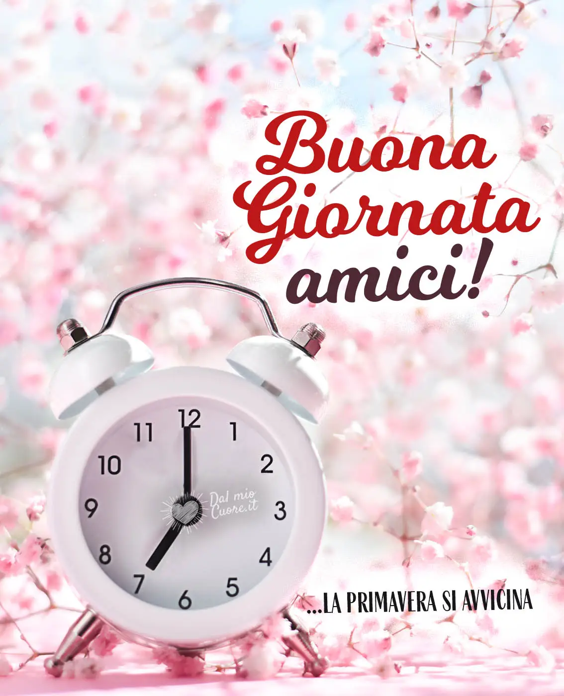 Buona giornata amici... la primavera si avvicina Buona giornata amici... la primavera si avvicina