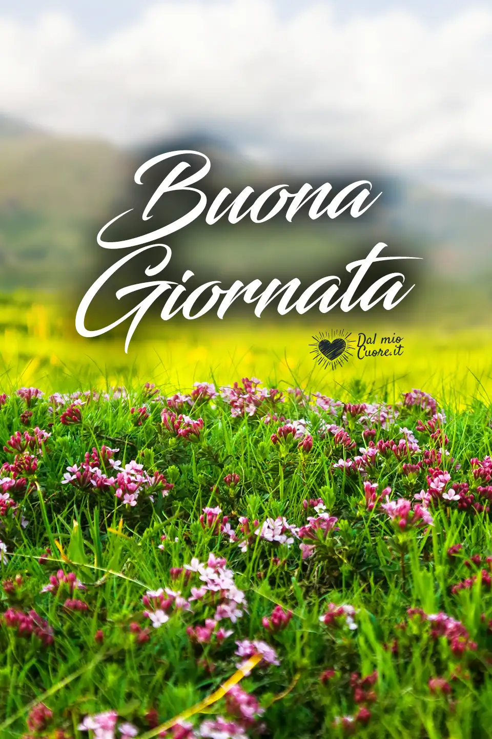 Buona giornata Buona giornata