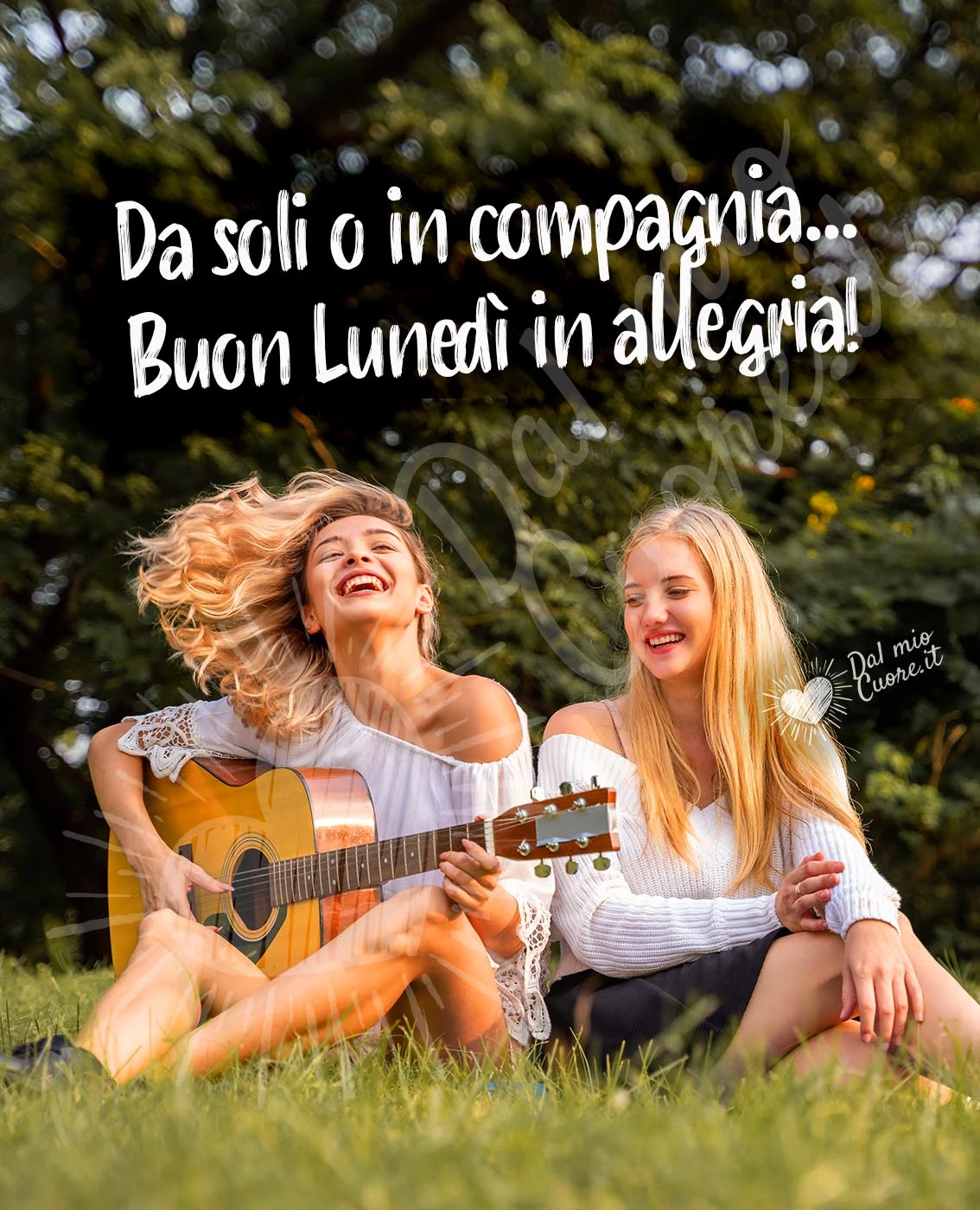Da soli o in compagnia... Buon lunedì in compagnia!