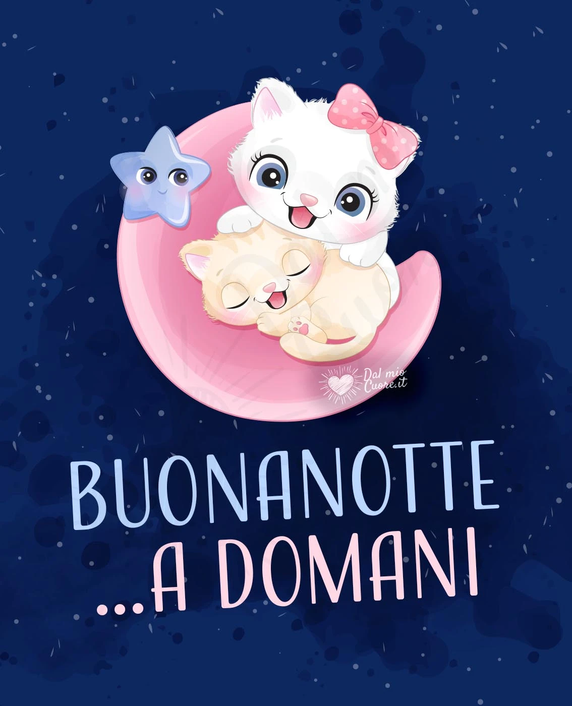 Buonanotte a domani, con gattini