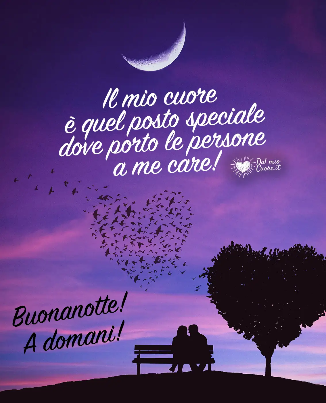 Il mio cuore è quel posto speciale dove porto le persone a me care! Buonanotte a domani!