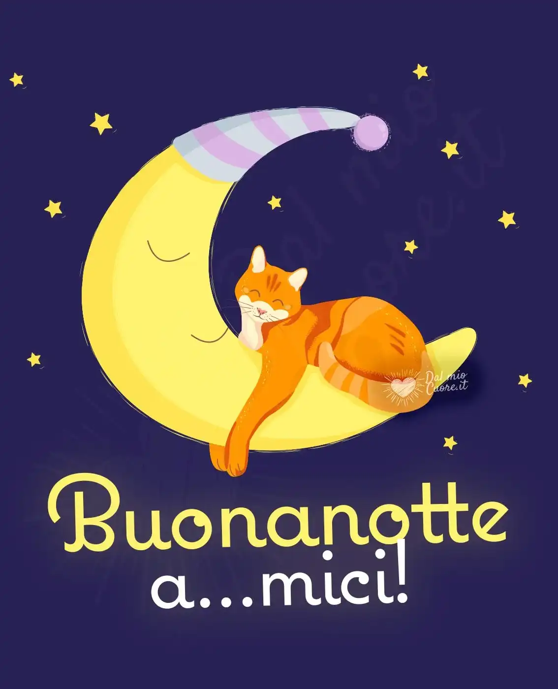 Buonanotte a...mici! Divertente con gatto Buonanotte a...mici! Divertente con gatto