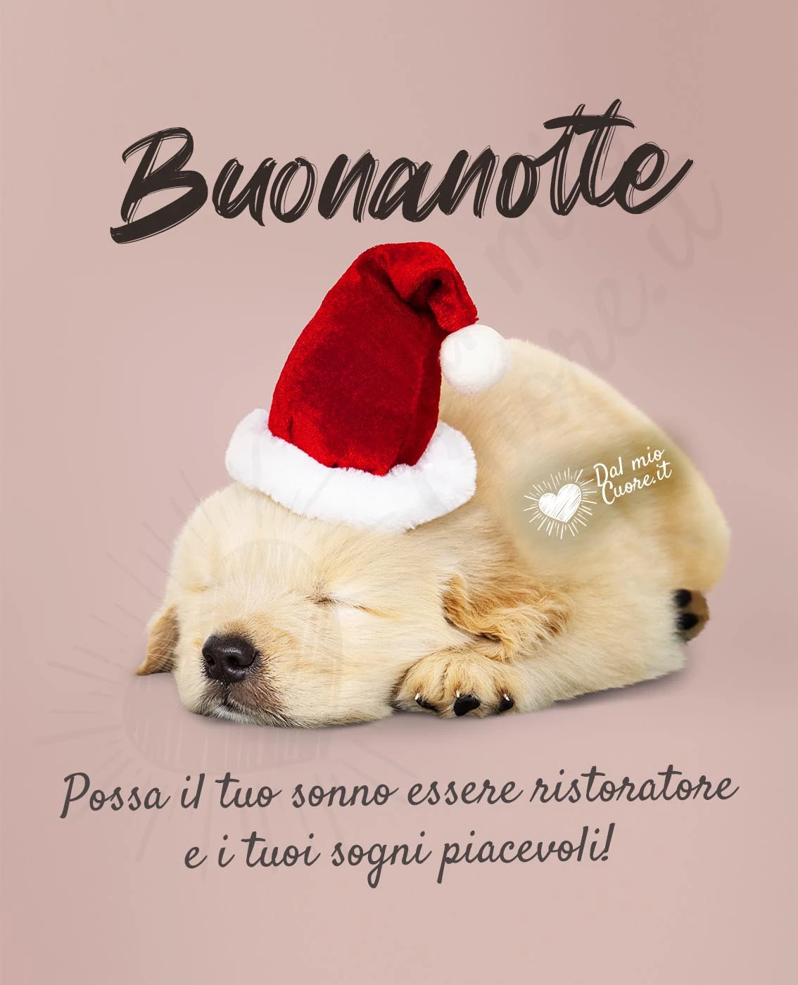 Immagine buonanotte natalizia con cagnolino Immagine buonanotte natalizia con cagnolino
